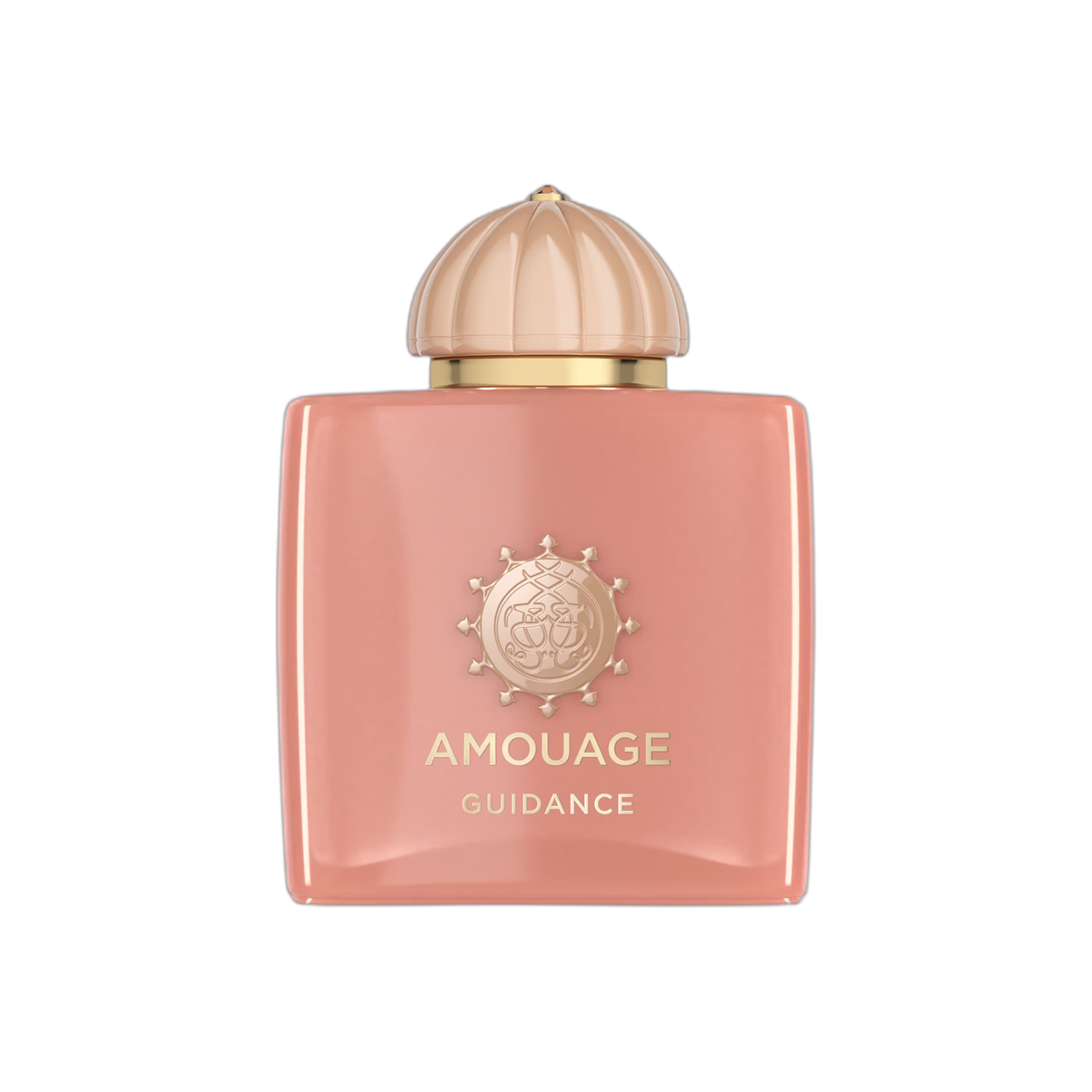 Amouage Guidance