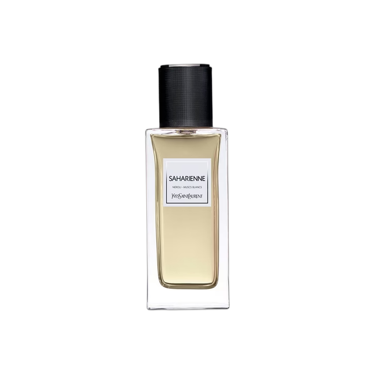 Yves Saint Laurent Saharienne
