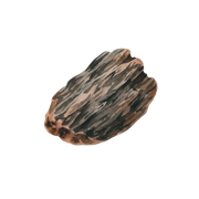 Agarwood Oud fragrance note icon