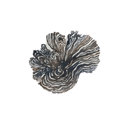 Akigalawood fragrance note icon
