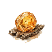 Amber Wood fragrance note icon