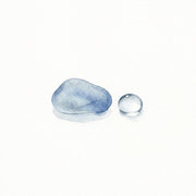 aquatic note