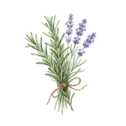 Aromatic Notes fragrance note icon