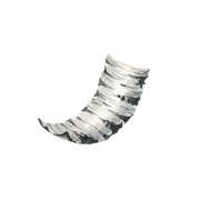 Birch fragrance note icon