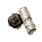 Birch Tar fragrance note icon