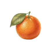 Bitter Orange fragrance note icon