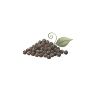 Black Pepper fragrance note icon