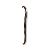 Bourbon Vanilla fragrance note icon