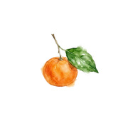 Calabrian Mandarin fragrance note icon