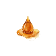 Caramel fragrance note icon