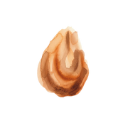 Cashmeran fragrance note icon