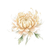 Chrysanthemum fragrance note icon