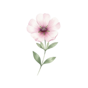 Cistus fragrance note icon
