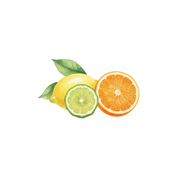 Citrus Accord fragrance note icon