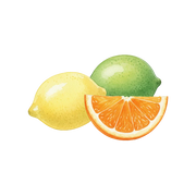 Citrus fragrance note icon