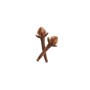 Clove fragrance note icon
