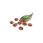 Coffee fragrance note icon