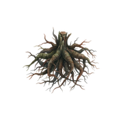 Cypriol fragrance note icon