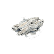 Dry Wood fragrance note icon