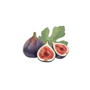 Fig fragrance note icon