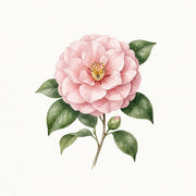 floral note