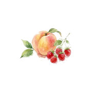 Fruity Notes fragrance note icon