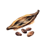 Gourmand fragrance note icon