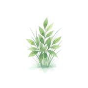 Green Notes fragrance note icon