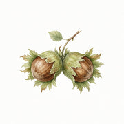 Hazelnut note
