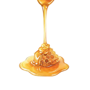 Honey fragrance note icon