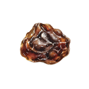 Labdanum fragrance note icon