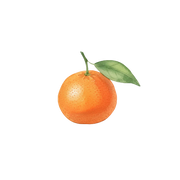 Mandarin Orange fragrance note icon