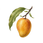 Mango note