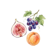 Mediterranean Fruits fragrance note icon
