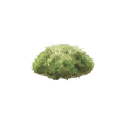 Moss fragrance note icon