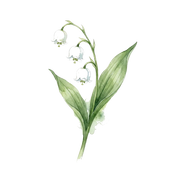 Muguet fragrance note icon