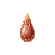 Myrrh fragrance note icon
