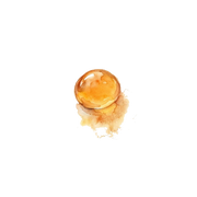Opoponax fragrance note icon