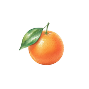 Orange fragrance note icon
