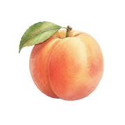 Peach fragrance note icon
