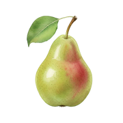 Pear fragrance note icon