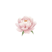 Peony fragrance note icon