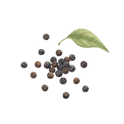 Pepper fragrance note icon