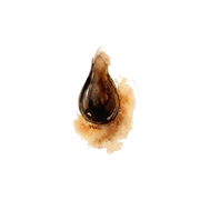 Peru Balsam fragrance note icon