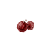 Pimento fragrance note icon