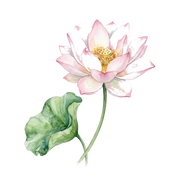 Pink Lotus fragrance note icon