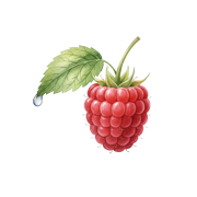 Raspberry fragrance note icon