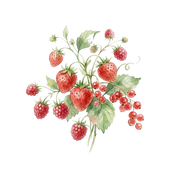 Red Fruits fragrance note icon