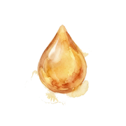 Resin fragrance note icon