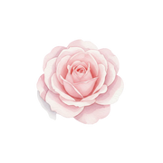 Rose De Mai fragrance note icon